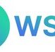 WSPN Appoints Former EY Global Chief Innovation Officer Jeff Wong as Independent Director